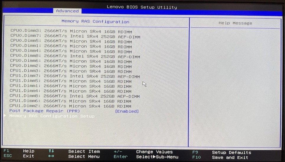 Memory module listing in BIOS